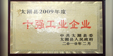 十強(qiáng)工業(yè)企業(yè)